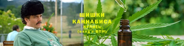 бошки Белокуриха