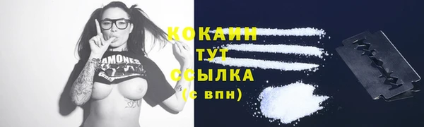 бошки Белокуриха