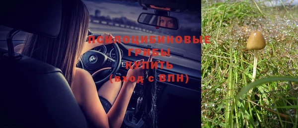 бошки Белокуриха