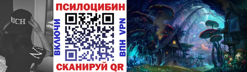 маркетплейс телеграм  Вышний Волочёк  Псилоцибиновые грибы Psilocybine cubensis 